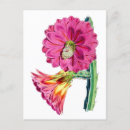 Zoek naar vintage botanisch briefkaarten Bloem