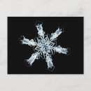 Zoek naar microscoop briefkaarten Natuurkunde