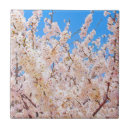 Zoek naar blauwe hemel tegels Voor haar