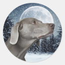 Zoek naar weimaraners stickers Xmas