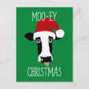Zoek naar moo briefkaarten Kerstmis