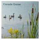 Zoek naar staarten tegels Elk persoon