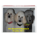 Zoek naar poedel kalenders Standaard