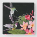 Zoek naar wilde vogels klokken Vogelkunst