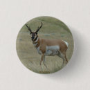 Zoek naar hunting accessoires Elk persoon