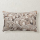 Zoek naar ooi kussens Schaap