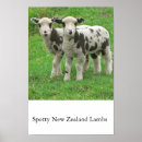 Zoek naar spotty posters Vlekken