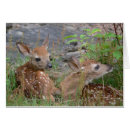 Zoek naar bambi briefkaarten Dier
