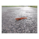 Zoek naar salamanders kunst Elk persoon