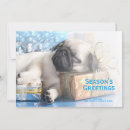 Zoek naar wol kaarten Bal van wol