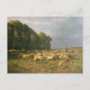 Zoek naar pastoral briefkaarten Hond