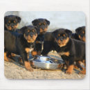 Zoek naar rottweiler muismatten Pups
