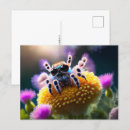 Zoek naar spin briefkaarten Elk persoon