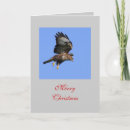 Zoek naar buizerd kaarten Wild