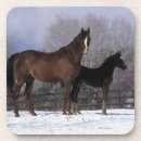 Zoek naar arabisch onderzetters Equestrian