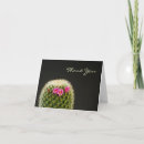 Zoek naar cactussen briefkaarten Bloesem