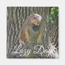 Zoek naar grappige eekhoorn magneten Natuur