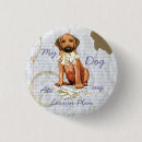 Zoek naar rhodesian ridgeback accessoires Afrikaanse leeuwenhond