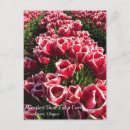 Zoek naar lens briefkaarten Bloemen