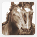 Zoek naar paard portret stickers Western
