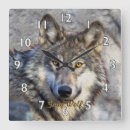 Zoek naar grijze wolf klokken Wild