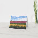 Zoek naar klompen kaarten Tulpen