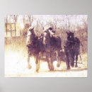 Zoek naar belgisch paard posters Percheron