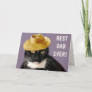 Zoek naar zwarte katten kaarten Voor hem