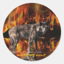 Zoek naar grijze wolven stickers Wild