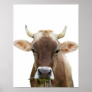 Zoek naar runder posters Portret