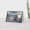 Zoek naar hollywood kaarten Elk persoon