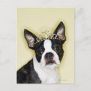 Zoek naar tiara briefkaarten Elegantie