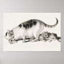 Zoek naar katten afbeeldingen posters Kittens