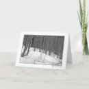 Zoek naar berk boom kaarten Bomen