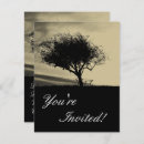 Zoek naar glastonbury briefkaarten Landschap