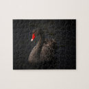 Zoek naar zwanen puzzels Zwaan