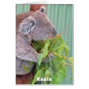 Zoek naar witte schors briefkaarten Elk persoon