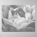 Zoek naar desiderata posters Inspirerend