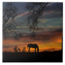 Zoek naar southwestern tegels Zuidwestelijke