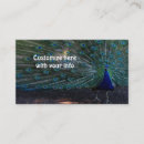 Zoek naar pauw visitekaartjes Dieren