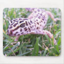 Zoek naar hagedis muismatten Gecko