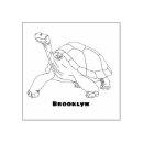 Zoek naar schildpadden knutsel hobby Reptiel