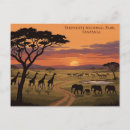 Zoek naar serengeti nationaal park briefkaarten Reizen