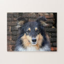 Zoek naar sheltie hond puzzels Schelpen