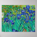 Zoek naar irissen kunst Vincent