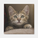 Zoek naar tablet magneten Kitten
