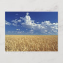 Zoek naar graan posters Usa