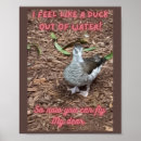 Zoek naar eenden posters Elk persoon