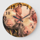 Zoek naar varkens klokken Boerderij