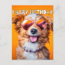 Zoek naar grappige hond gelukkige verjaardag briefkaarten Dier